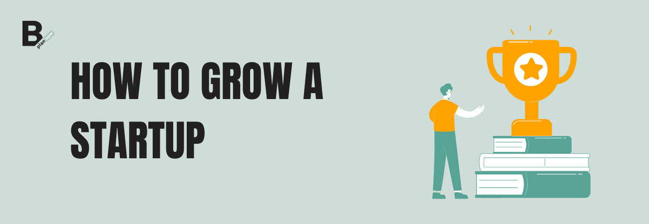 How to grow a startup