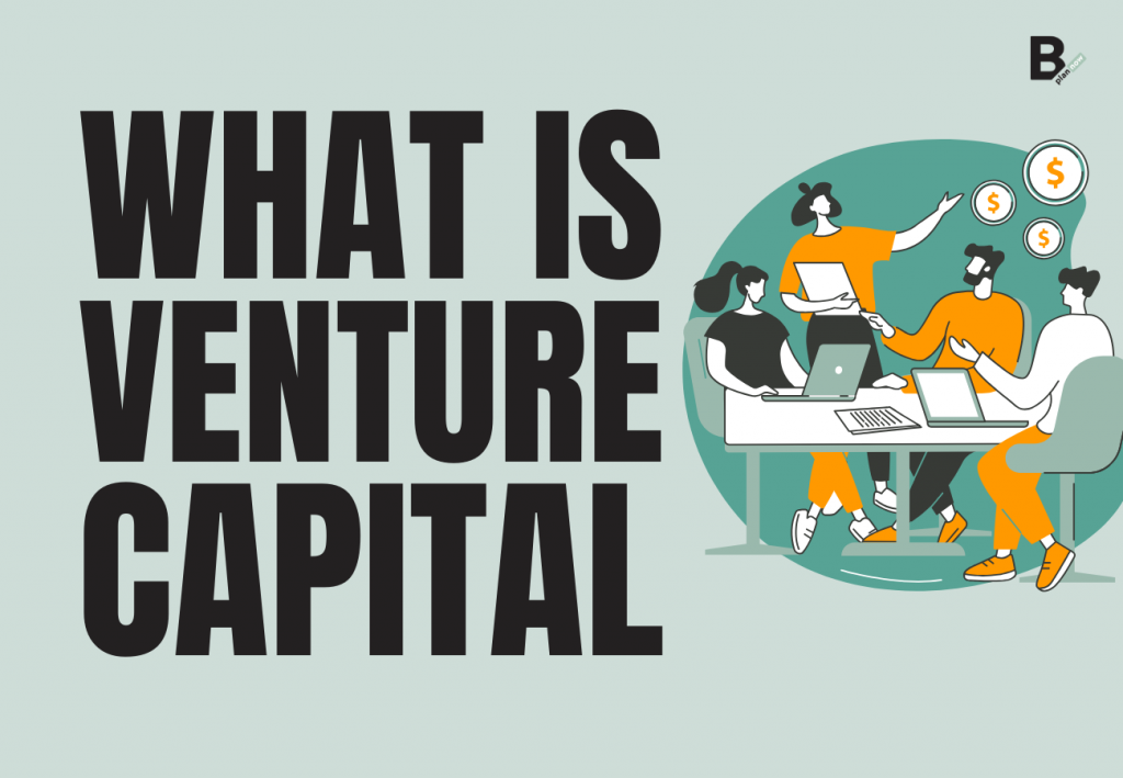 What is venture capital