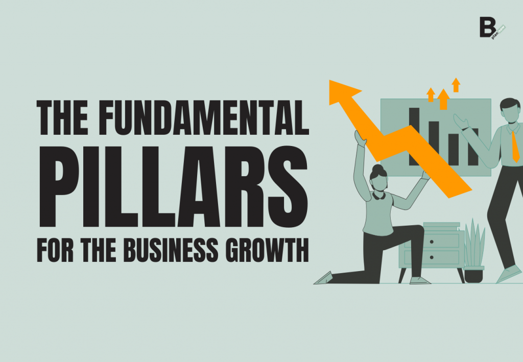 The fundamental pillars for the business growth