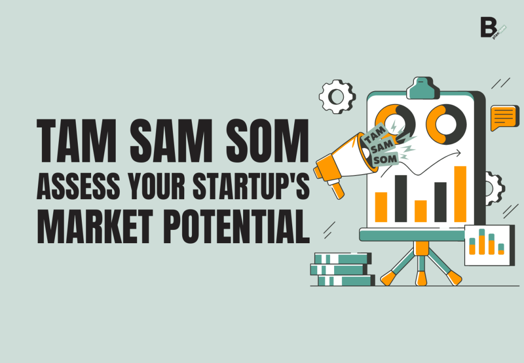 TAM SAM SOM_assess your startup's market potential